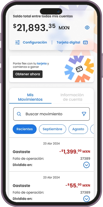 Vista previa de la app en un celular